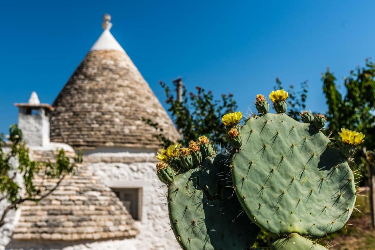 Trullo Picchiagiuda Villa Ostuni Bagian luar foto